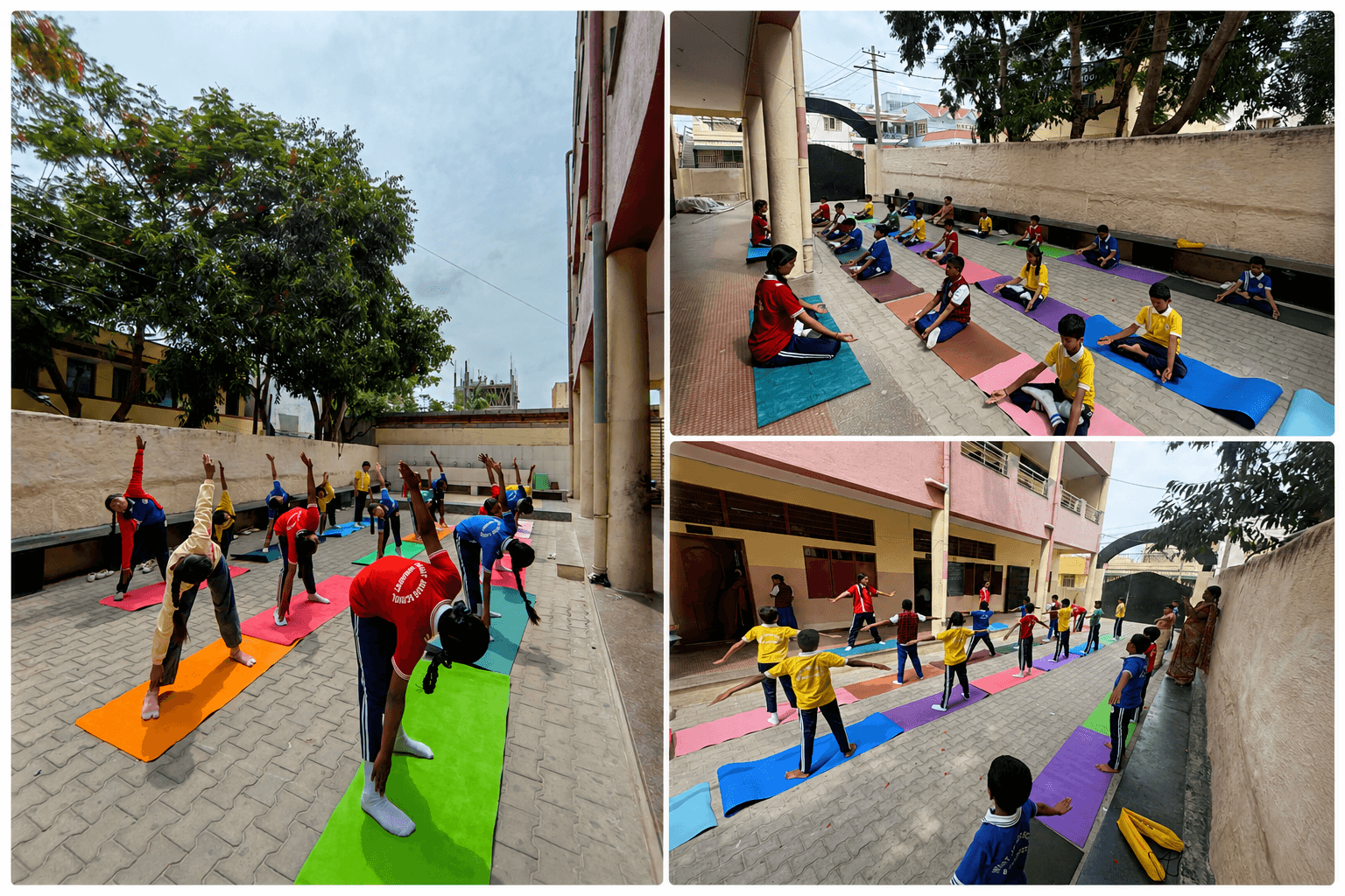 Yoga & Wellness